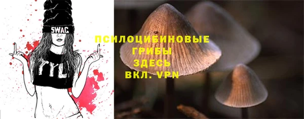 spice Белокуриха