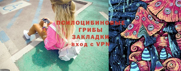 spice Белокуриха