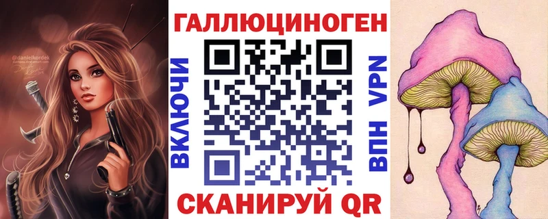 Псилоцибиновые грибы Psilocybine cubensis  Кодинск 